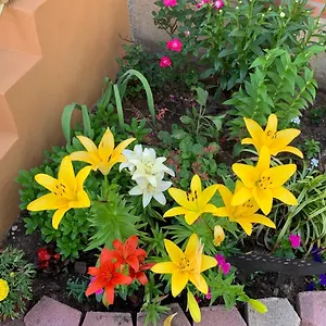Homestay Beautiful Near Jfk And Close To Laguardia Airports