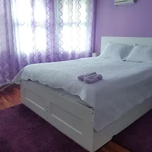 Homestay Maspeth House